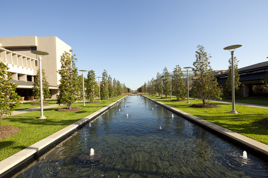 UTD reflecting pounds